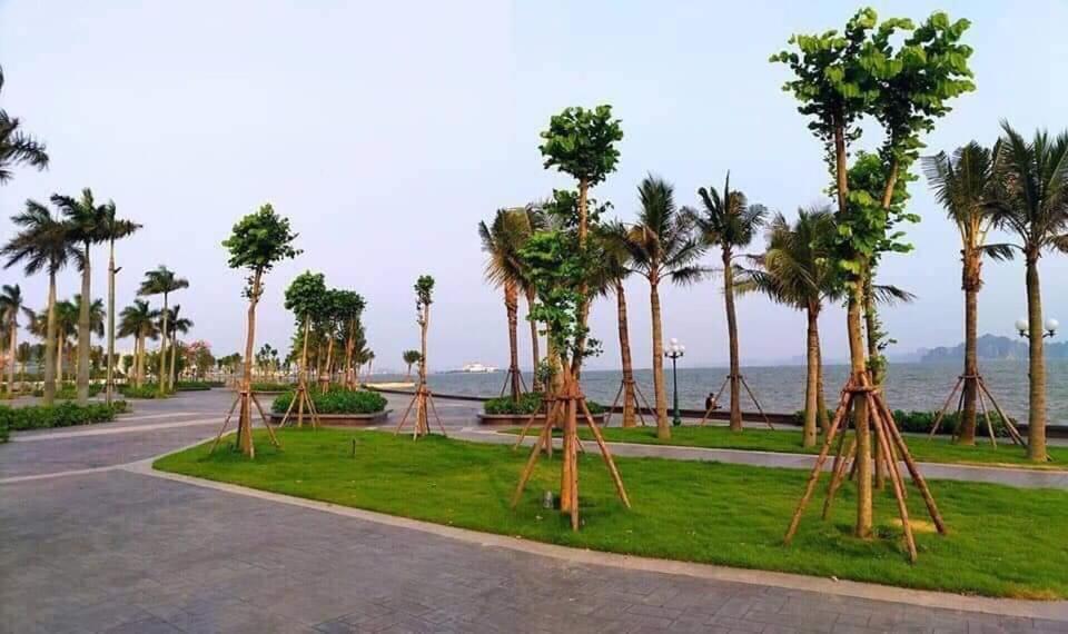 Sonny Homestay 2 -Can Lien Ke 5Pn -Khu Greenbayvillage - Duong Hoang Quoc Viet -Trung Tam Kdl Bai Chay Hạ Long Exterior foto